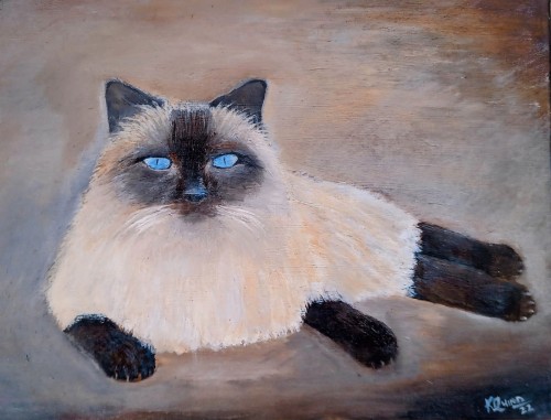 Siamese Cat — oil on canvas by Kevin Quinn