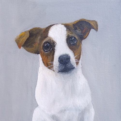 Jack Russell Terrier — oil on canvas by Kevin Quinn